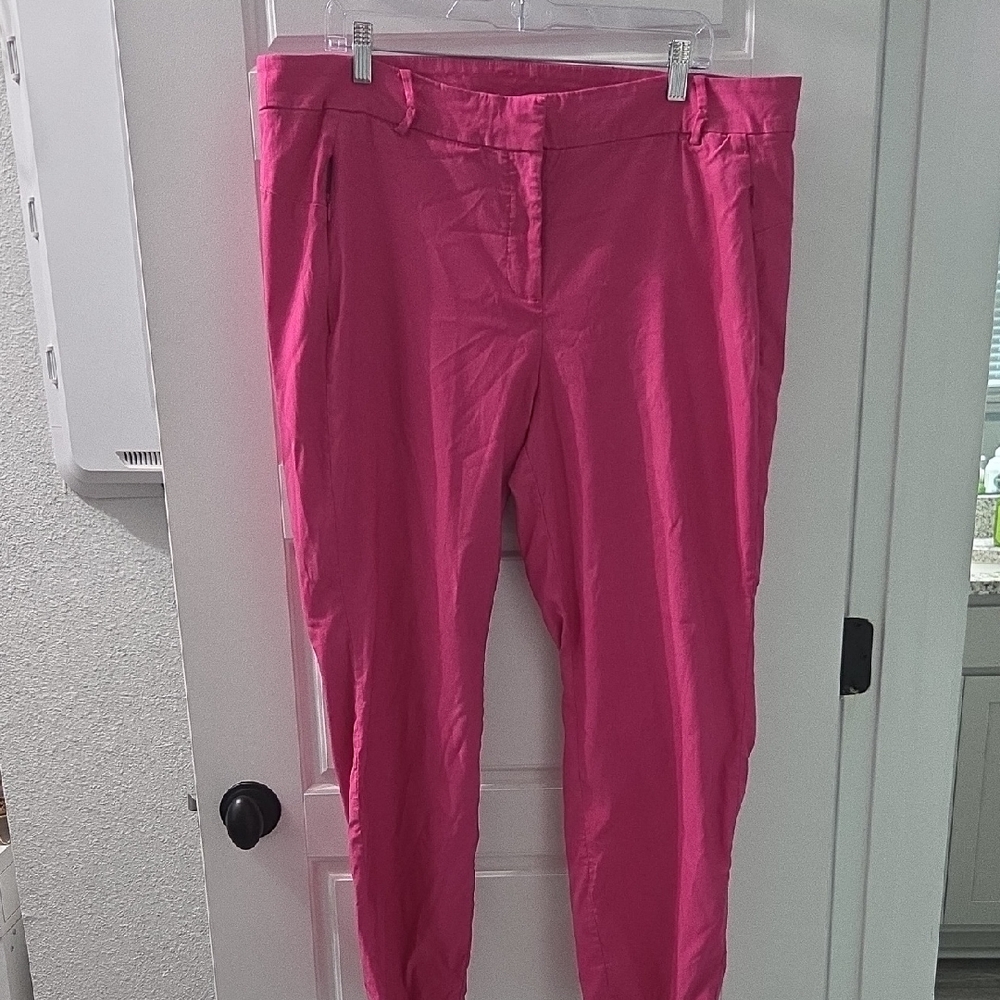 Lane Bryant Fuchsia Pants